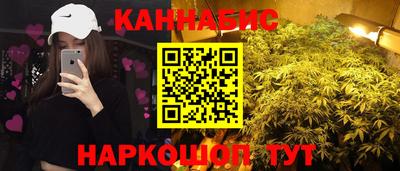 стаф Гатчина