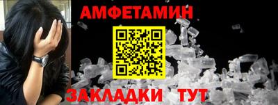 стаф Гатчина