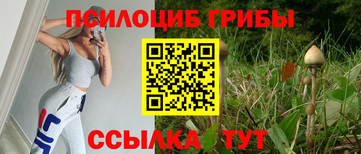 Псилоцибиновые грибы прущие грибы Михайловск